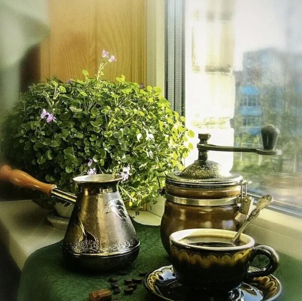 весенний чай