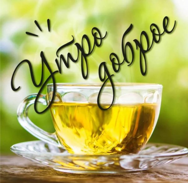 чашка зеленого чая