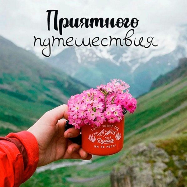 доброе утро в дороге
