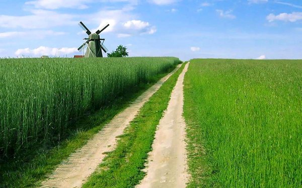 ветряная мельница