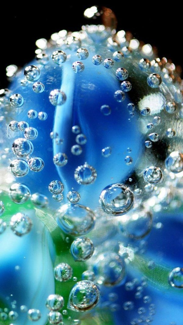 синие капли