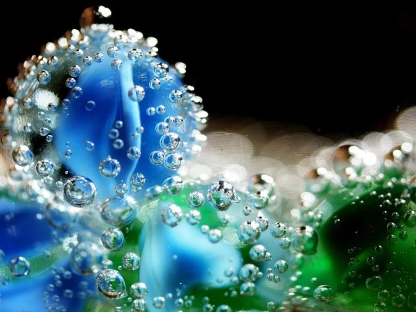 капелька росы