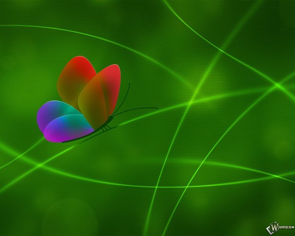 бабочка на зеленом фоне