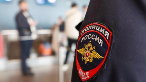 полиция мвд