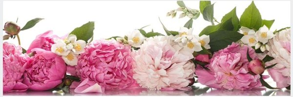 пионы по краю