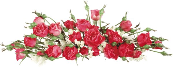 поздравляем на прозрачном фоне