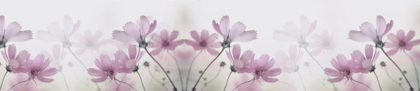 нежные цветочки