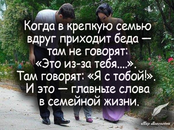 красивые фразы о семье