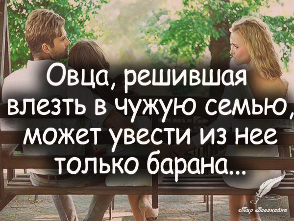 овца которая залезла в чужое семью