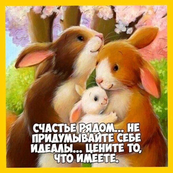 зайчик красивый