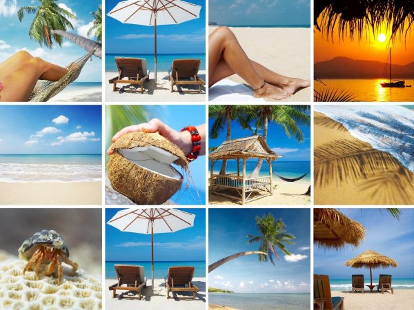 тропический коллаж