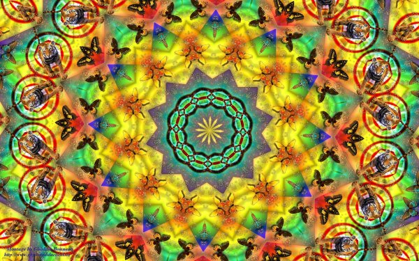 летний калейдоскоп