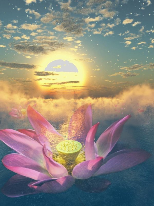 медитация лотос аллатра