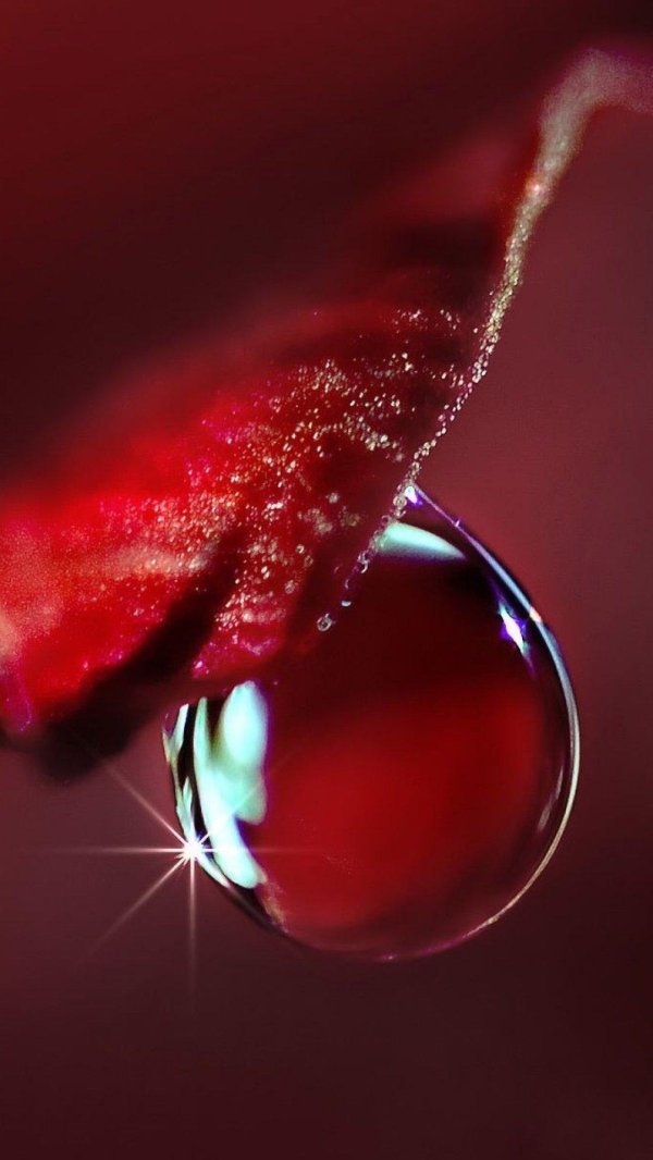 рубиновые капельки