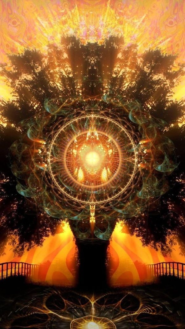 магическое дерево