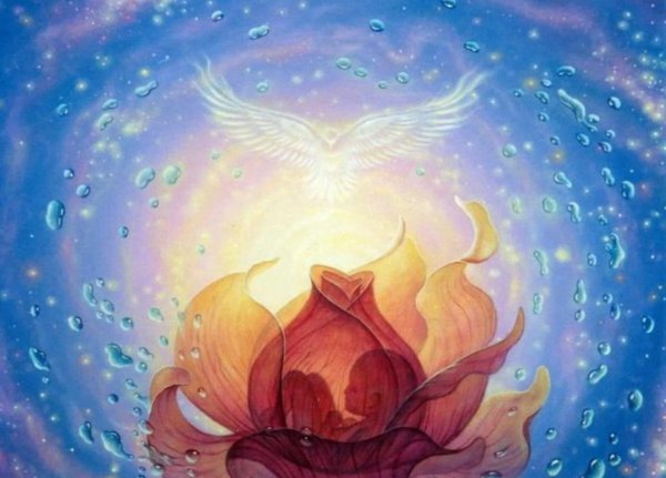 божественный цветок любви