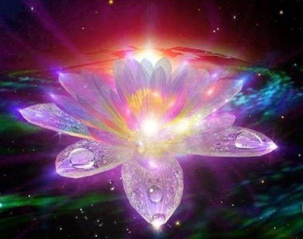 волшебные цветы