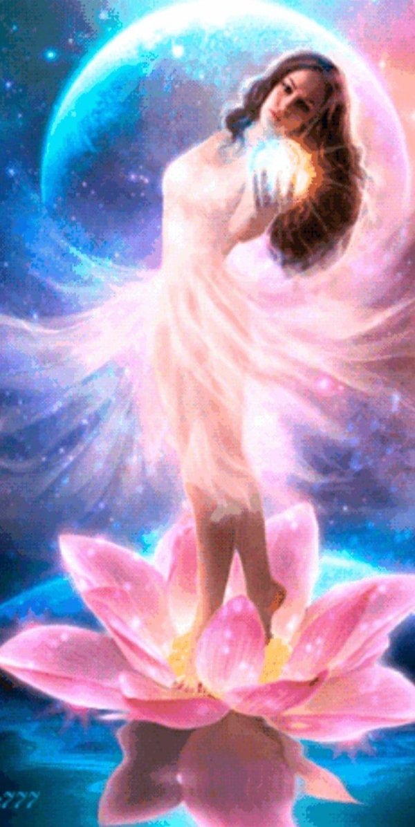 лотосные феи