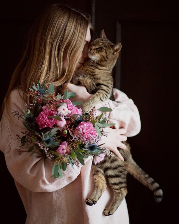 фотосессия с кошкой