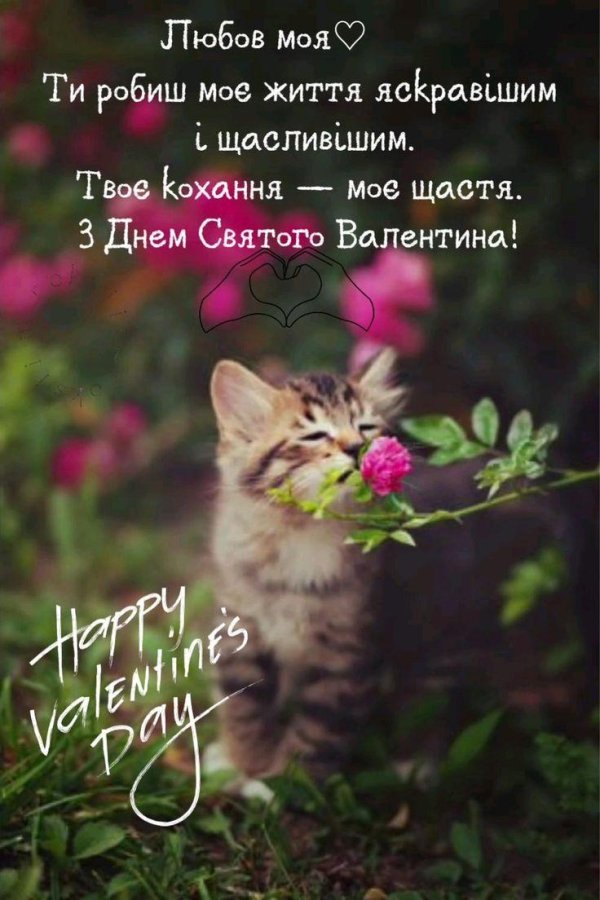 день святого валентина