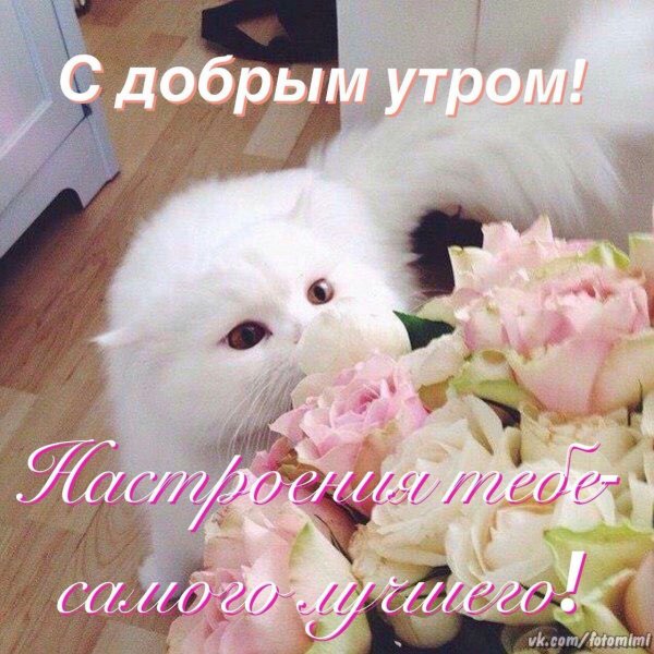 открытка с добрым утром красивая