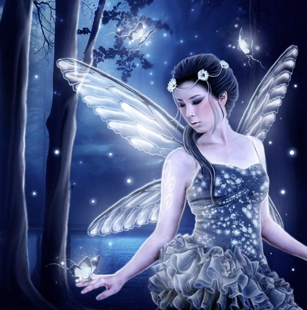 ночные феи