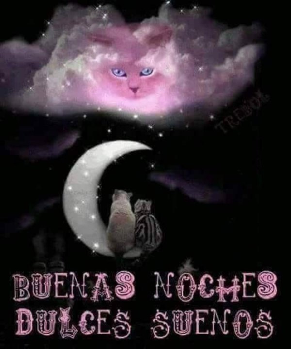 buenas noches imágenes