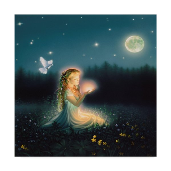 красивая фея