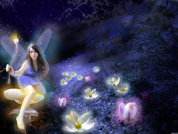 дорин верче волшебное царство фей