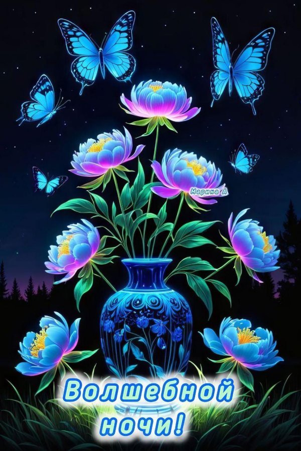 ночь спокойная