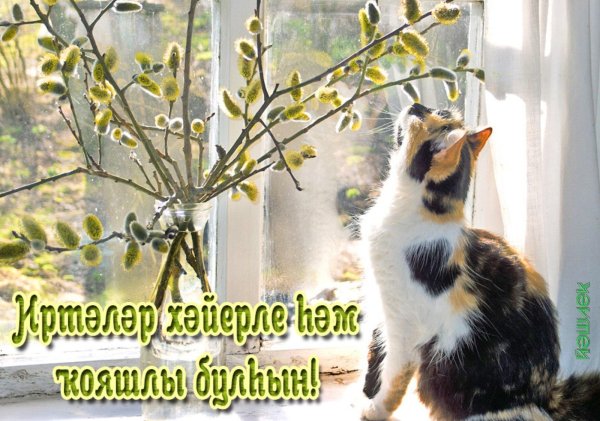 с вербным воскресеньем