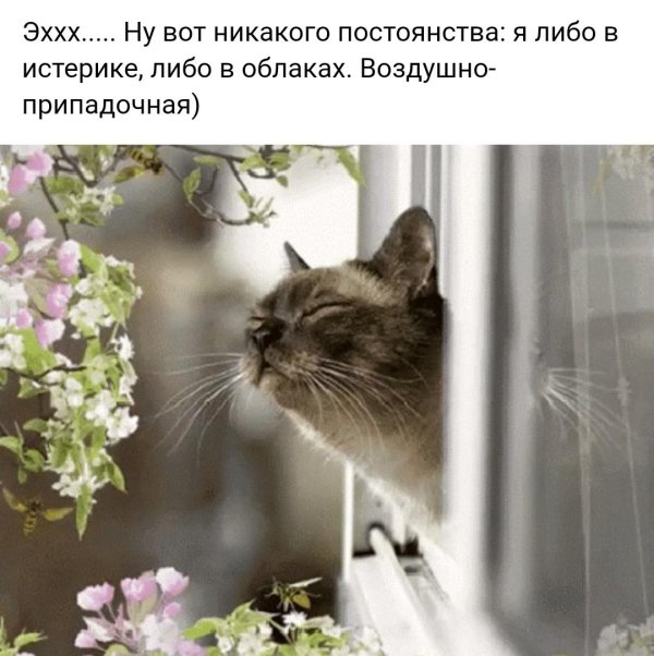 запах весны