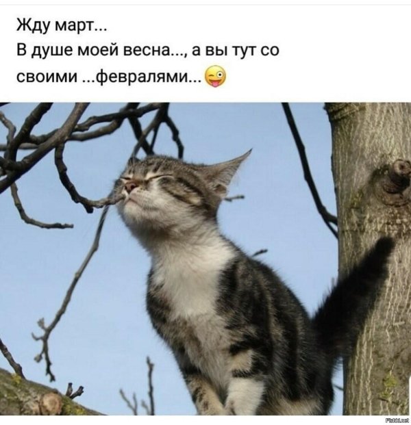 пахнет весной