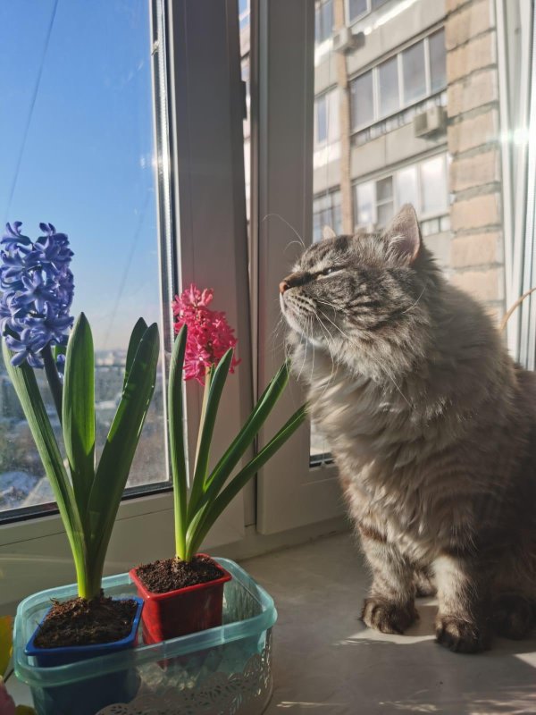 пахнет весной