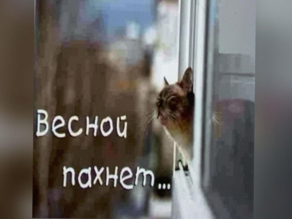 запах весны