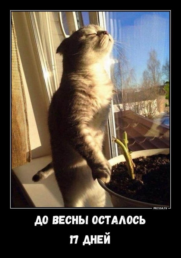 до весны осталось