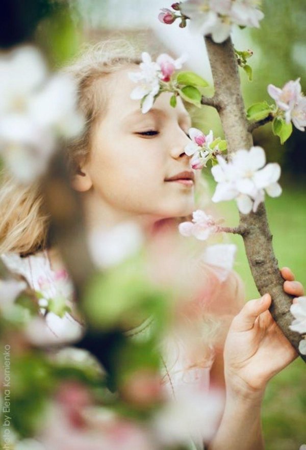 фотосессия яблони в цвету