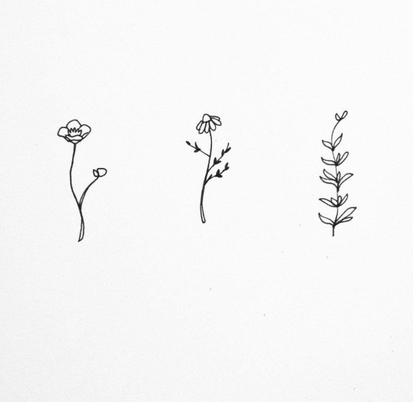 эскиз тату цветок