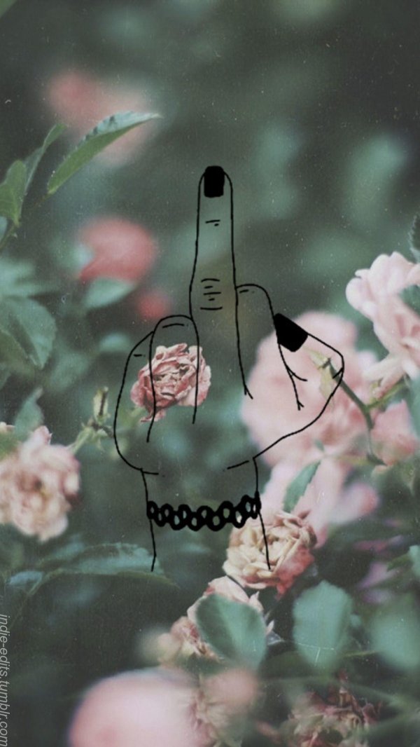 розы пастельных