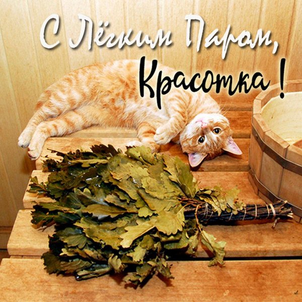 открытки с лёгким паром прикольные