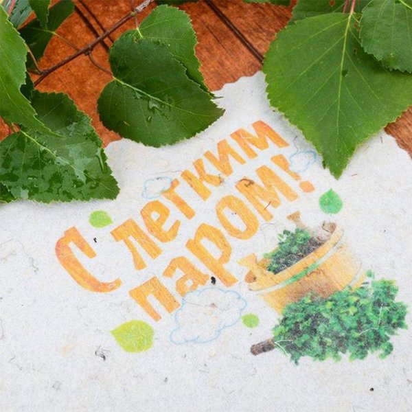 береза листок