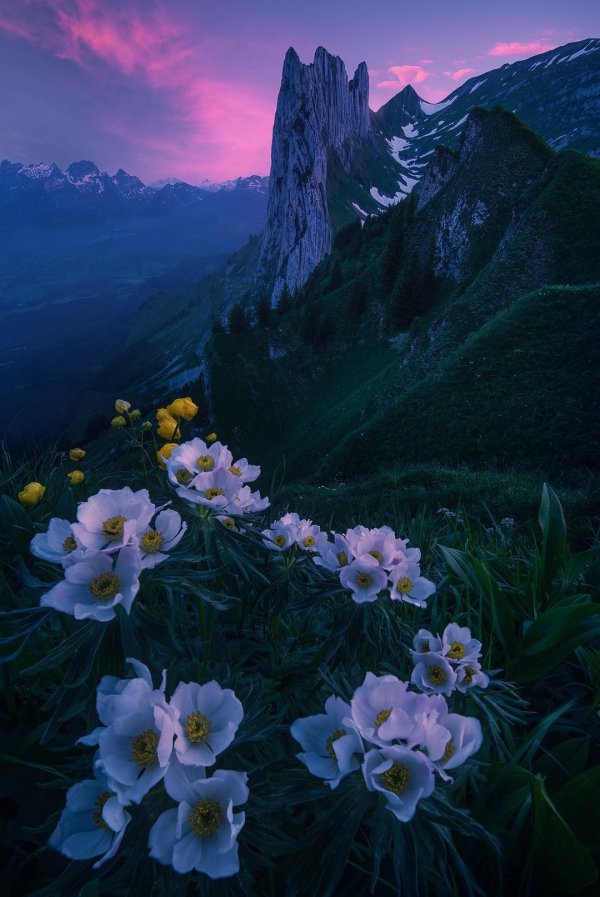 горы пейзаж