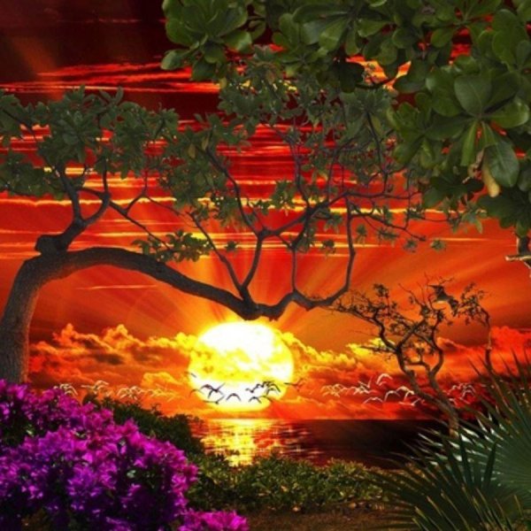 картины закат