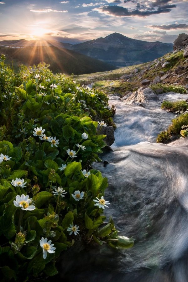 удивительная природа