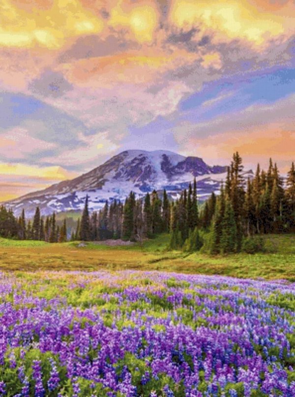 mt rainier national park