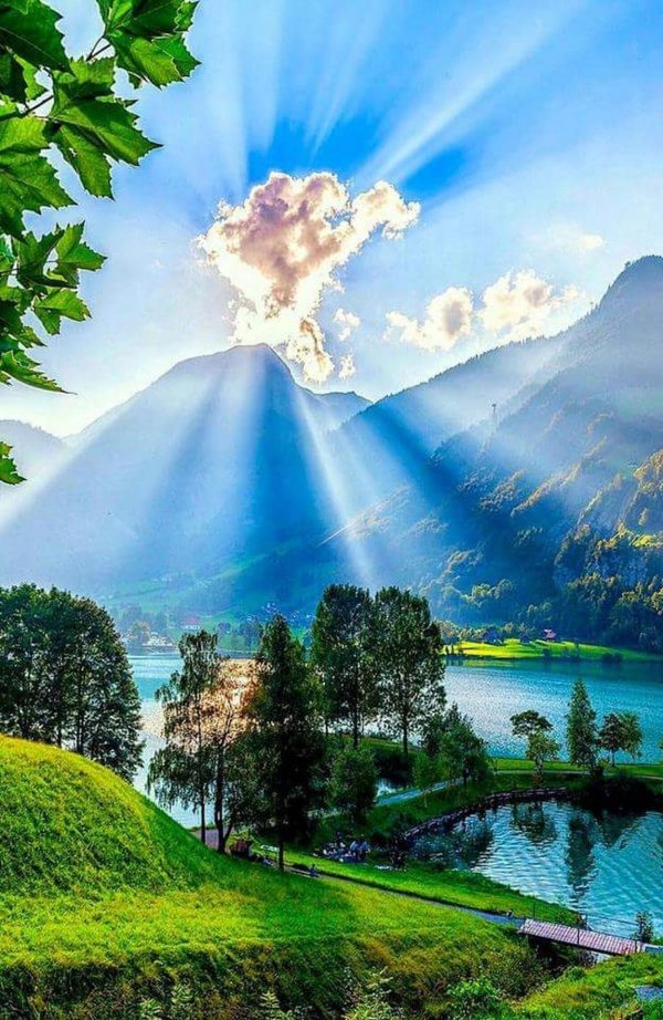 прекрасный мир природы