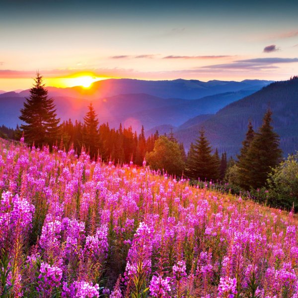 пейзажи красивые