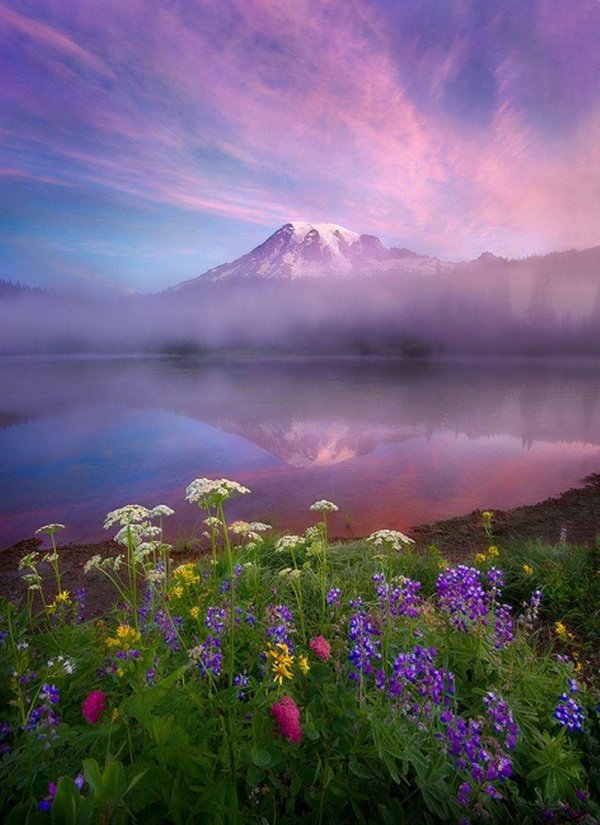 национальный парк маунт рейнир