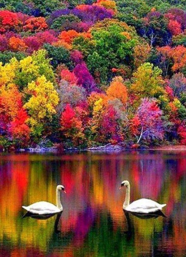 красивая осень