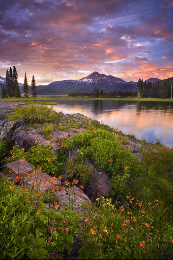 пейзажи красивые